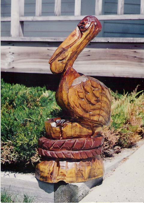 Pelican